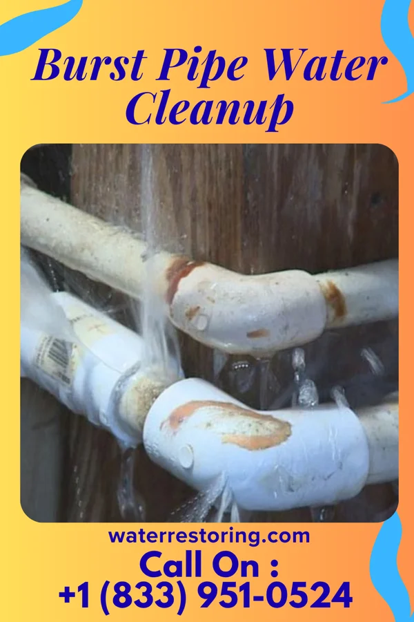 Burst Pipe Water Cleanup in Yates Center, KS