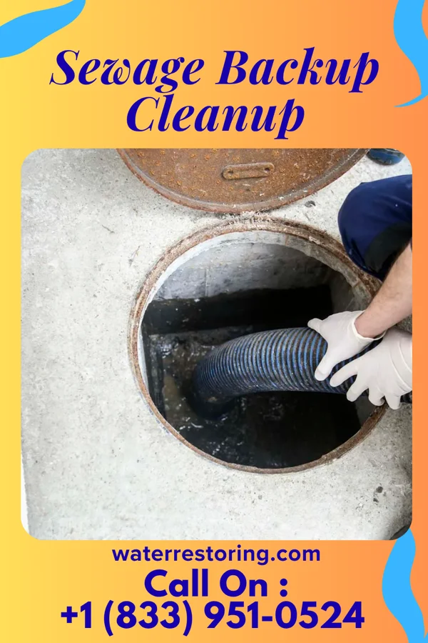 Sewage Backup Cleanup in Yates Center, KS